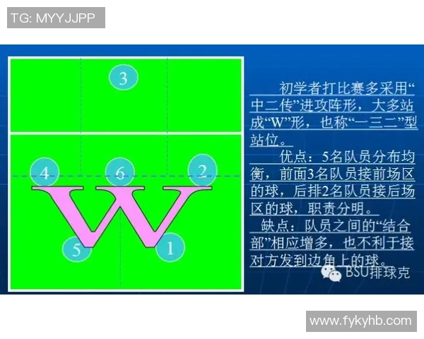 杭州排球队整体压制战术解析与实战应用探讨