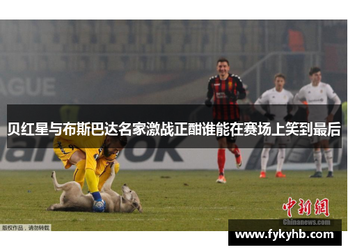 贝红星与布斯巴达名家激战正酣谁能在赛场上笑到最后